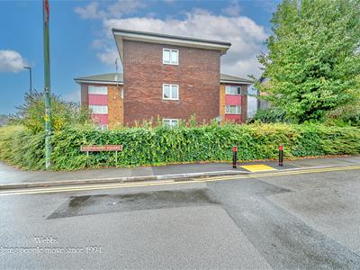 Picture 20